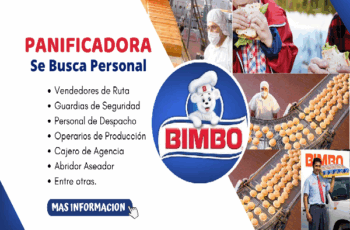 Trabaja en BIMBO: Vacantes Disponibles ¡Postula Hoy!