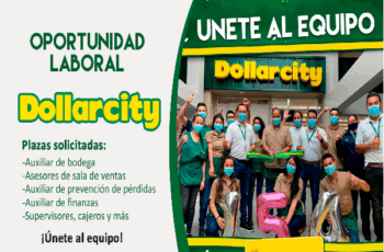 Crecé en Dollarcity: ¡Postula a Vacantes Disponibles!