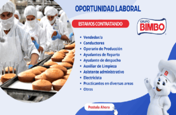 Empleos en Bimbo – Postula Hoy y Desarrolla tu Carrera