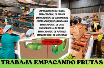 Trabaja como Empacador de Frutas: Nuevas Vacantes