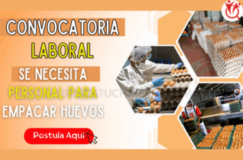 Trabaja Empacado de Huevos – ¡Postula Hoy y Crece!