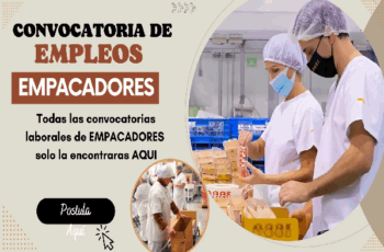 Trabaja como Empacador en Fábrica – ¡Aplica Ahora!