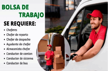 Trabajos para Choferes en Empresas de Transporte