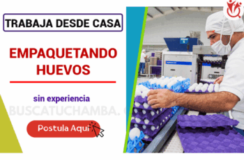 Ofertas de Trabajo en Empaque de Huevos – Estabilidad Laboral