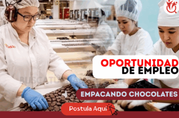 Trabaja Empacando Chocolates – ¡Postula Hoy!