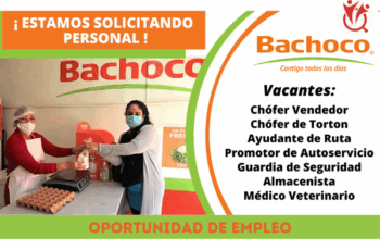 Empleos Grupo BACHOCO – Postúlate Hoy y Sé Parte del Equipo
