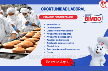 Trabaja en BIMBO – Vacantes con Desarrollo Profesional