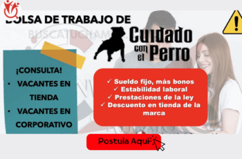 Trabaja en Tienda Cuidado con el Perro – ¡Aplica Aquí!