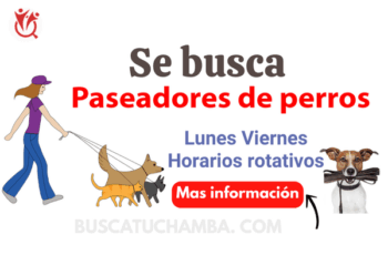 Oportunidades Laborales en Cuidado de Mascotas – ¡Postula Ya!