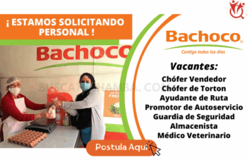 Empleos en Grupo Bachoco – ¡Vacantes Disponibles!