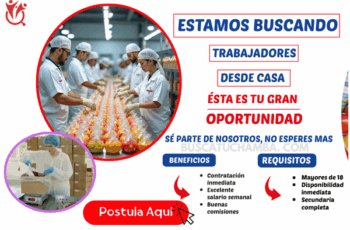 Trabaja desde Casa – Empacado con Horarios Flexibles ¡Aplica!
