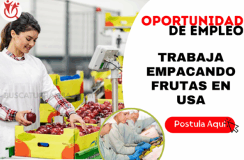 Trabaja en Cosecha y Empacado de Manzanas – ¡Aplica Ahora!