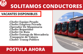 Ofertas de Empleo para Choferes en LATAM: Puestos Mejor Pagados